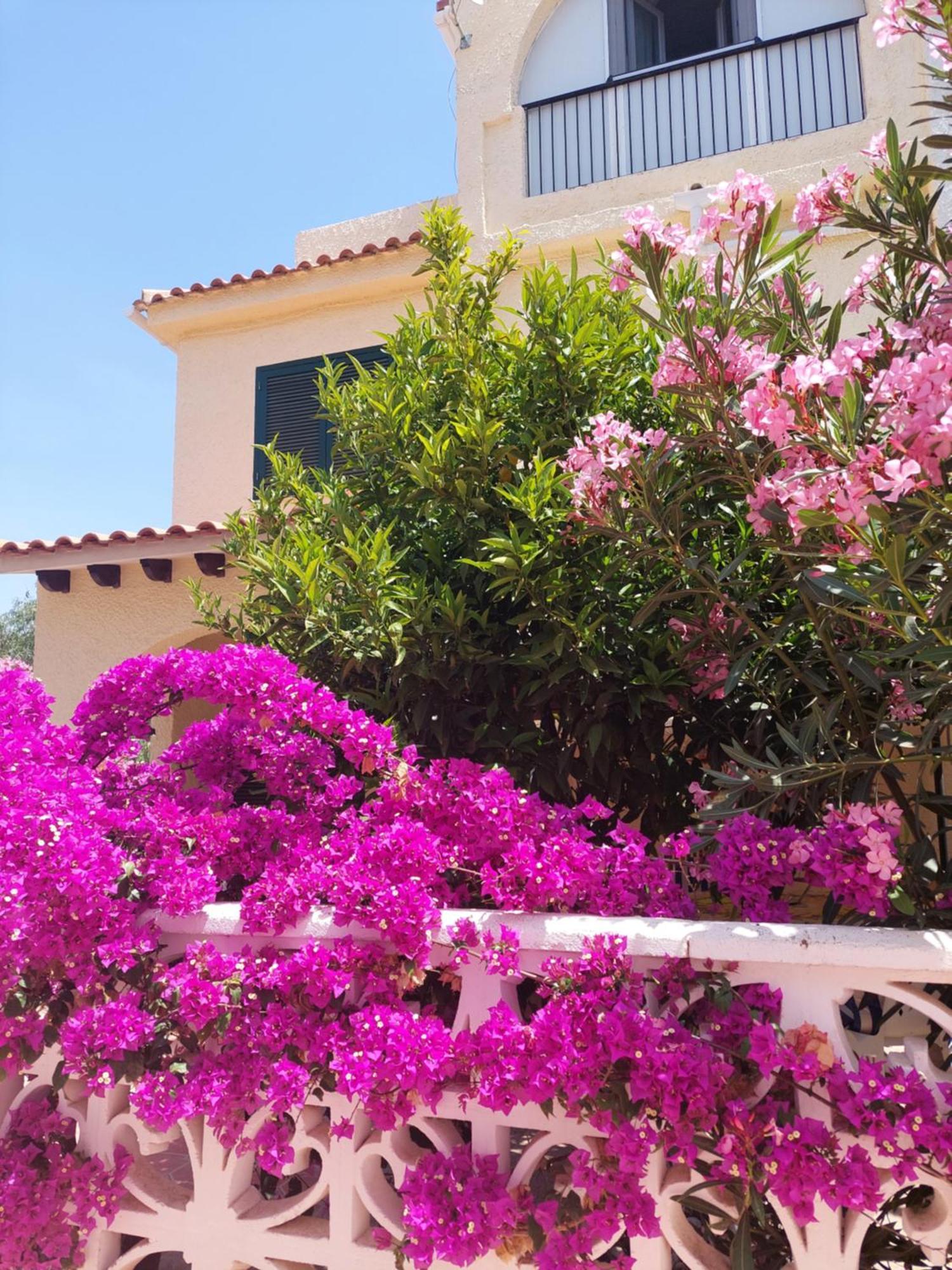 Haus Am Meer Torrevieja Ngoại thất bức ảnh
